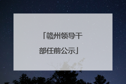 赣州领导干部任前公示
