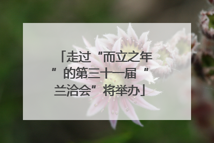走过“而立之年”的第三十一届“兰洽会”将举办
