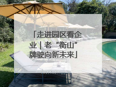走进园区看企业｜老“衡山”牌驶向新未来