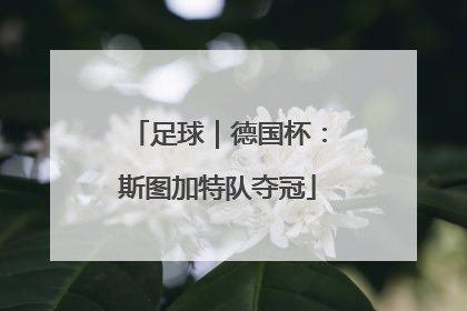 足球｜德国杯：斯图加特队夺冠