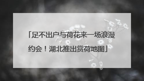 足不出户与荷花来一场浪漫约会！湖北推出赏荷地图