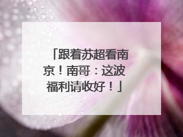 跟着苏超看南京！南哥：这波福利请收好！