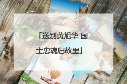 送别黄旭华 国士忠魂归故里