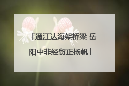 通江达海架桥梁 岳阳中非经贸正扬帆
