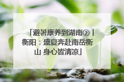 避暑康养到湖南②丨衡阳：盛夏奔赴南岳衡山 身心皆清凉