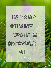 遂宁文旅产业升级提速 “遂心礼”品牌外宣战略启动