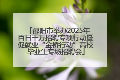 邵阳市举办2025年百日千万招聘专项行动暨促就业“金桥行动”高校毕业生专场招聘会