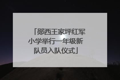 郧西王家坪红军小学举行一年级新队员入队仪式