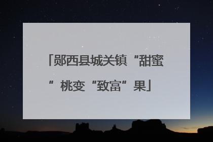郧西县城关镇“甜蜜”桃变“致富”果