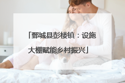 鄄城县彭楼镇：设施大棚赋能乡村振兴