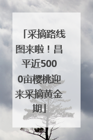 采摘路线图来啦！昌平近5000亩樱桃迎来采摘黄金期