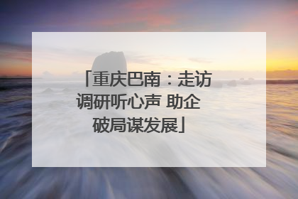 重庆巴南：走访调研听心声 助企破局谋发展
