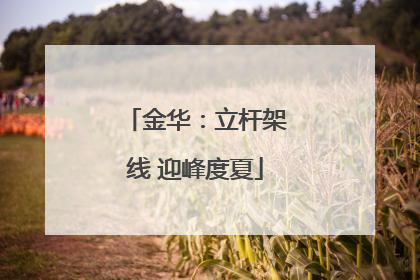 金华：立杆架线 迎峰度夏
