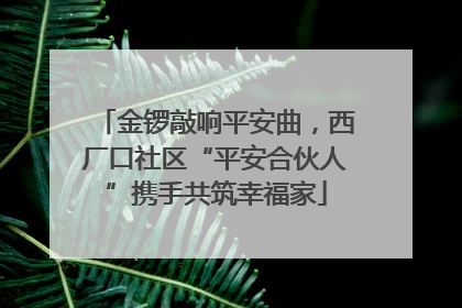 金锣敲响平安曲，西厂口社区“平安合伙人”携手共筑幸福家