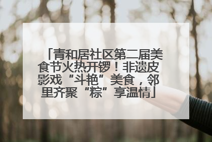 青和居社区第二届美食节火热开锣！非遗皮影戏“斗艳”美食，邻里齐聚“粽”享温情