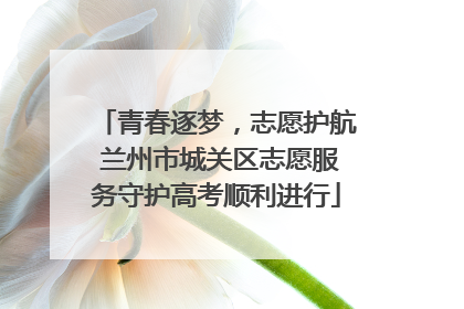 青春逐梦，志愿护航 兰州市城关区志愿服务守护高考顺利进行