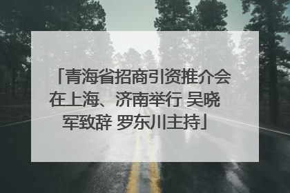 青海省招商引资推介会在上海、济南举行 吴晓军致辞 罗东川主持