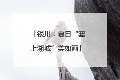 银川：夏日“塞上湖城”美如画