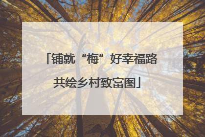 铺就“梅”好幸福路 共绘乡村致富图