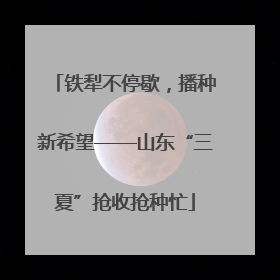 铁犁不停歇，播种新希望——山东“三夏”抢收抢种忙