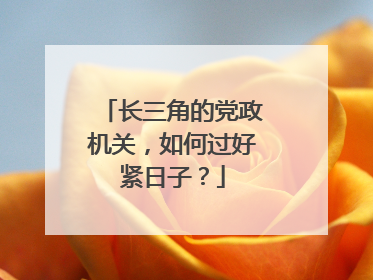 长三角的党政机关，如何过好紧日子？