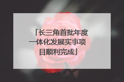长三角首批年度一体化发展实事项目顺利完成