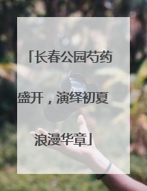 长春公园芍药盛开，演绎初夏浪漫华章