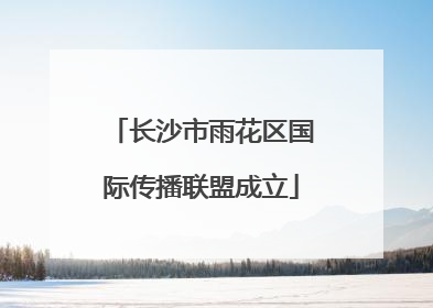 长沙市雨花区国际传播联盟成立