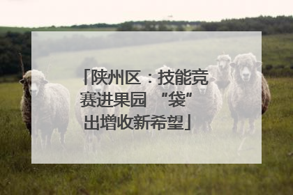 陕州区：技能竞赛进果园 “袋”出增收新希望