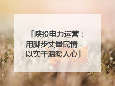 陕投电力运营：用脚步丈量民情 以实干温暖人心