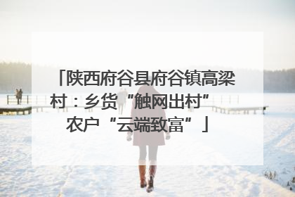 陕西府谷县府谷镇高梁村：乡货“触网出村” 农户“云端致富”