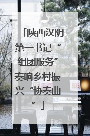 陕西汉阴第一书记“组团服务”奏响乡村振兴“协奏曲”