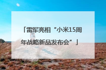 雷军亮相“小米15周年战略新品发布会”