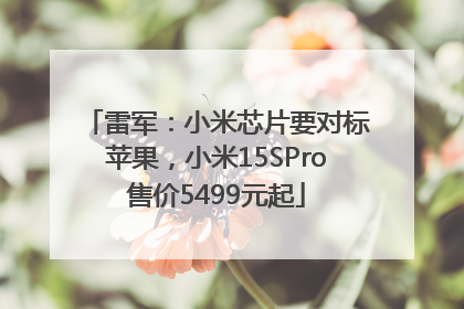 雷军：小米芯片要对标苹果，小米15SPro售价5499元起