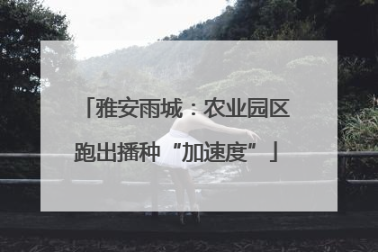 雅安雨城：农业园区跑出播种“加速度”