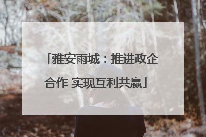 雅安雨城：推进政企合作 实现互利共赢