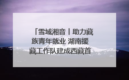 雪域湘音丨助力藏族青年就业 湖南援藏工作队建成西藏首个清洁能源装备园