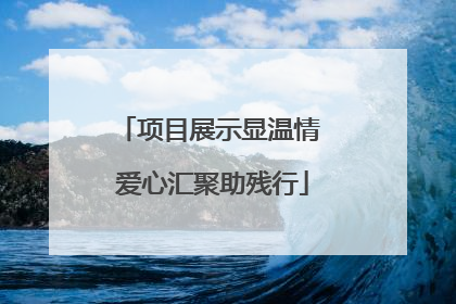 项目展示显温情 爱心汇聚助残行