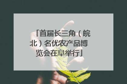首届长三角（皖北）名优农产品博览会在阜举行