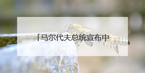 马尔代夫总统宣布中马友谊大桥通车日为“国家工程师日”
