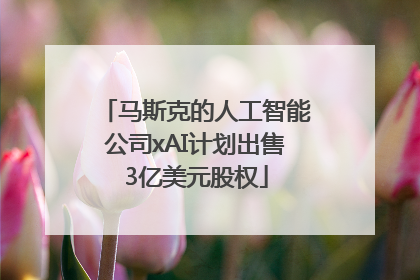马斯克的人工智能公司xAI计划出售3亿美元股权