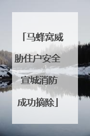 马蜂窝威胁住户安全 宣城消防成功摘除