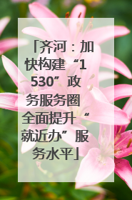 齐河：加快构建“1530”政务服务圈 全面提升“就近办”服务水平