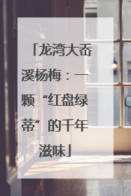 龙湾大岙溪杨梅：一颗“红盘绿蒂”的千年滋味