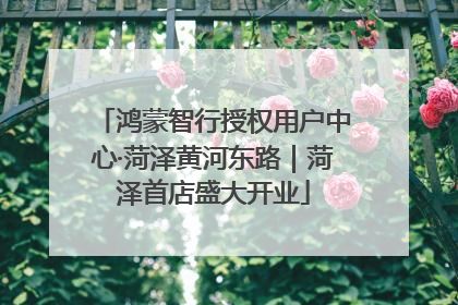 鸿蒙智行授权用户中心·菏泽黄河东路｜菏泽首店盛大开业