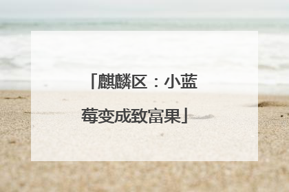 麒麟区：小蓝莓变成致富果
