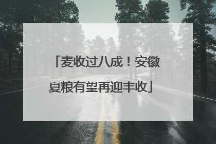 麦收过八成！安徽夏粮有望再迎丰收