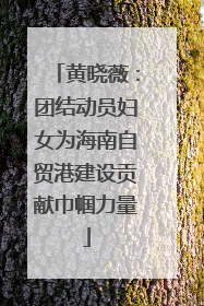 黄晓薇：团结动员妇女为海南自贸港建设贡献巾帼力量