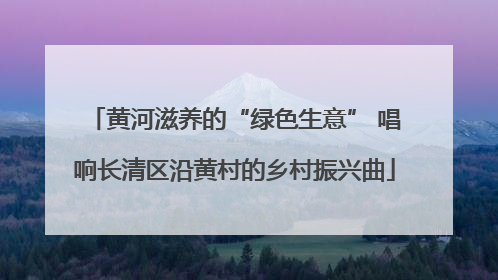 黄河滋养的“绿色生意” 唱响长清区沿黄村的乡村振兴曲