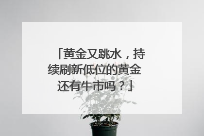 黄金又跳水，持续刷新低位的黄金还有牛市吗？